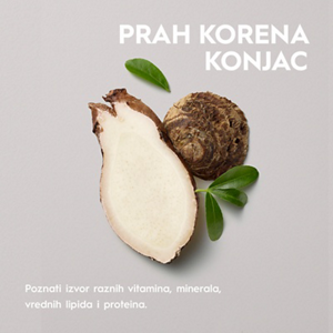 PRAH KORENA KONJAC